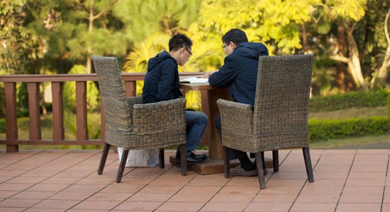 Mentor_WEB